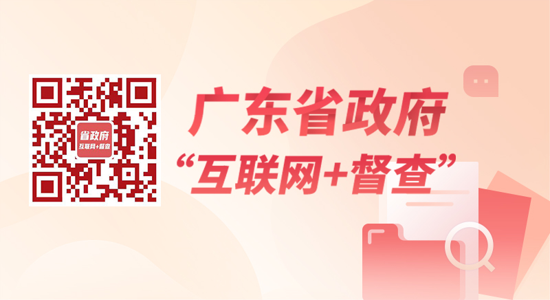 广东省政府 “互联网+督查”