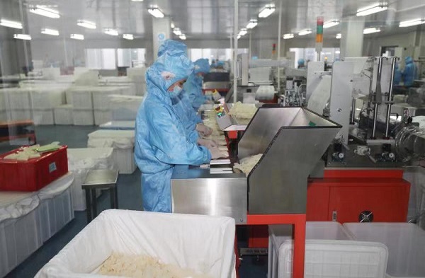 2医用手套净化包装车间.jpg