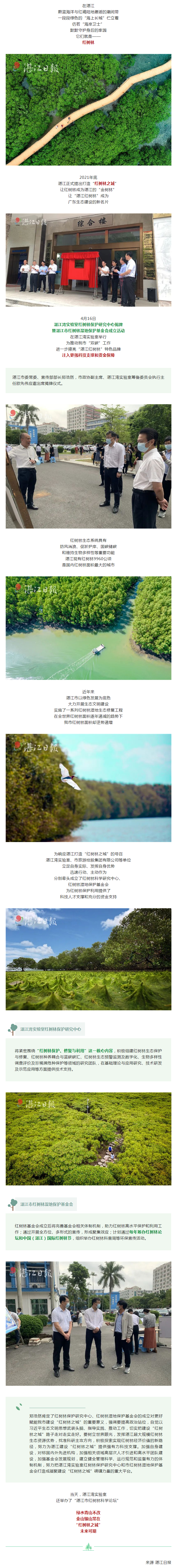 湛江红树林之城，插上腾飞的双翼！.png