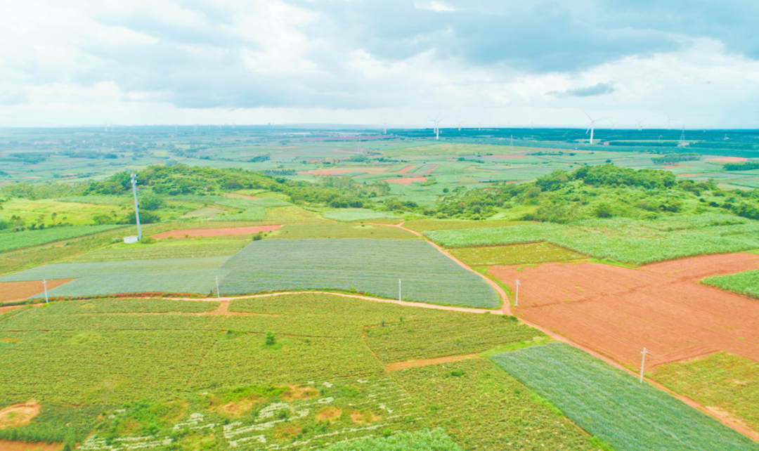 游雷州古城.寻绿岛仙境，这份攻略请收好！