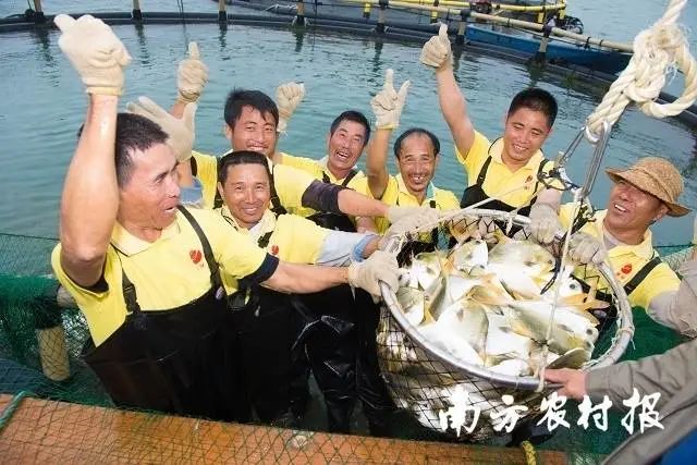 恒兴公司供图 图片