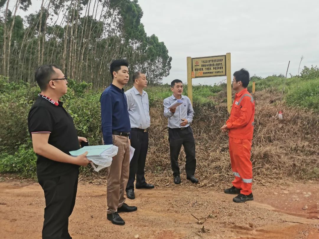 IMG_20230425_164103(1).jpg 图片