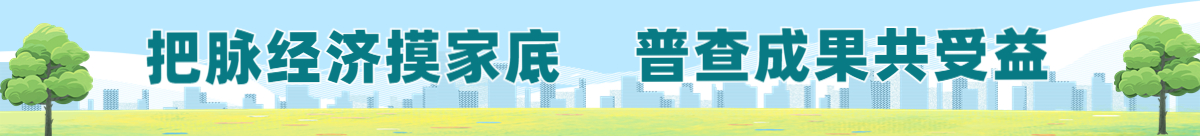 关于开展湛江市第五次全国经济普查的公告