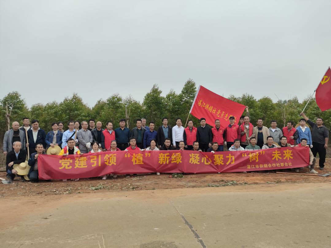 湛江市供销社开展“党建引领聚合力 喜树赋能百千万”联合主题党日活动