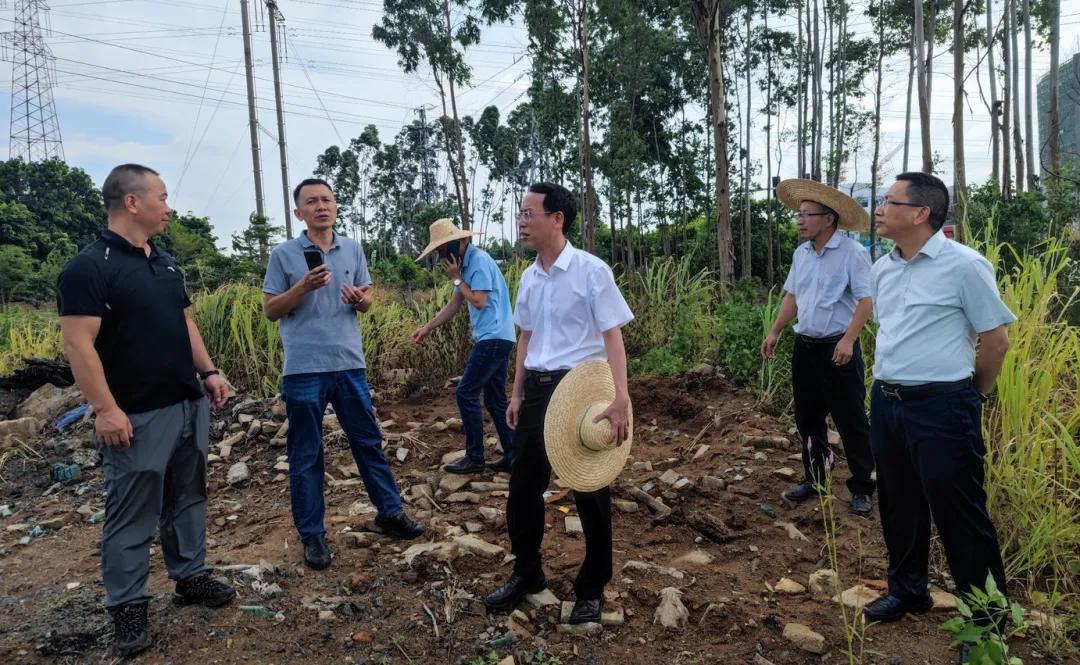 湛江市卫生健康局主要领导调研重点项目和固定资产投资工作