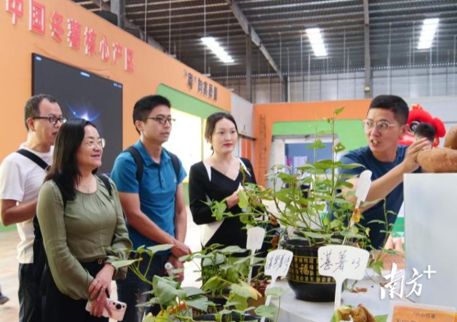 海大青年教师走进阳江核电有限公司调研。