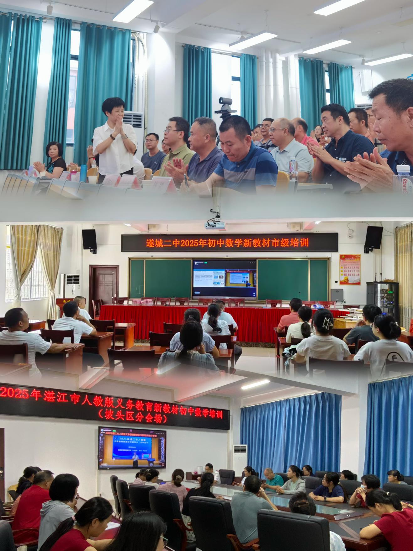 2025年湛江市人教版初中数学新教材市级培训.docx_5