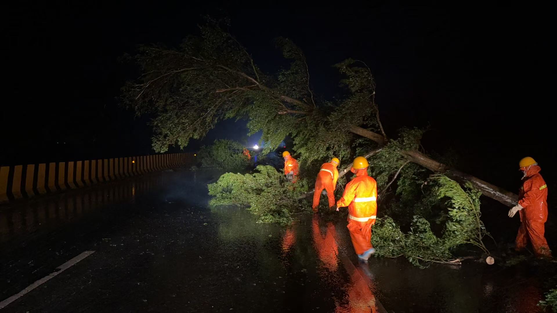 养护工人连夜奋战，及时清理伏倒路面树木.jpg