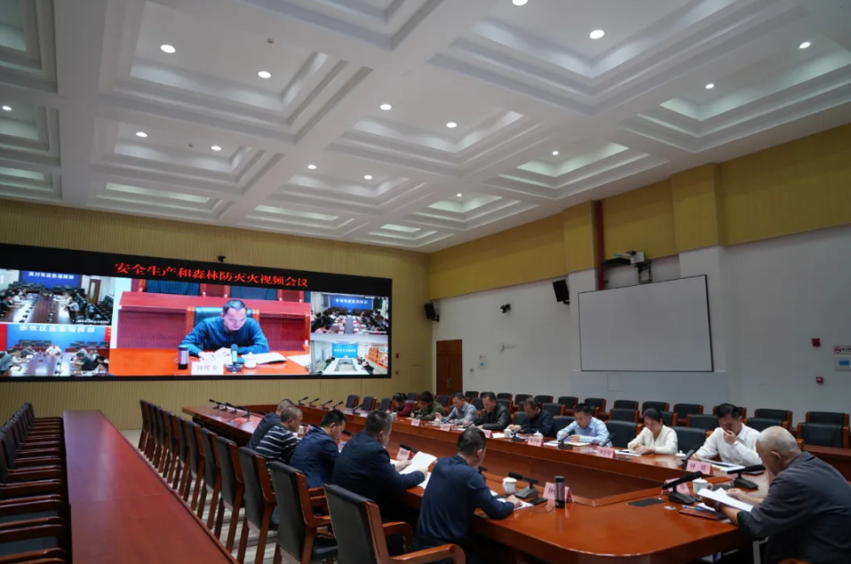全市安全生产和森林防灭火工作视频会议召开 全力确保岁末安全形势稳定
